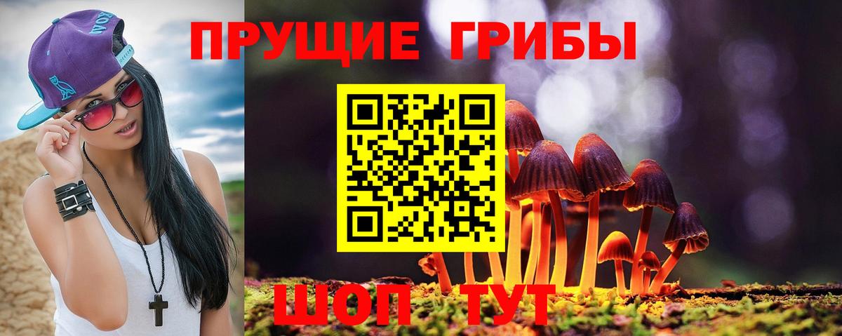 где купить   Вход с VPN  Боровичи  Галлюциногенные грибы Cubensis 